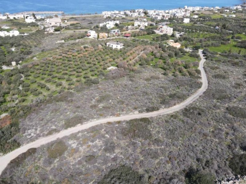 Milatos Kreta, Milatos: Baugrundstück im Zentrum in Meeresnähe zu verkaufen Grundstück kaufen